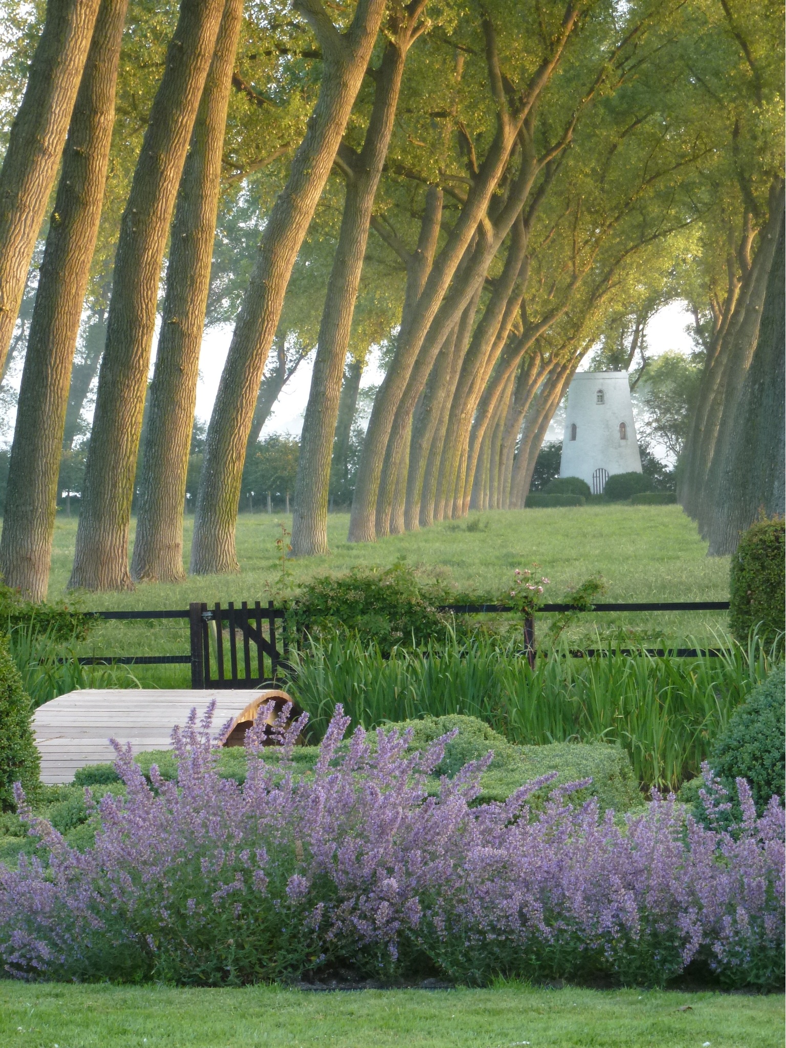 VISITE DE JARDIN A OOSTKERKE
